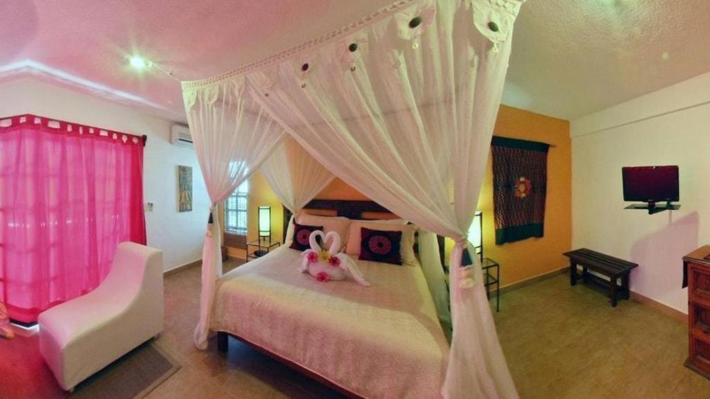 Flamingo Hotel Cozumel Eksteriør bilde